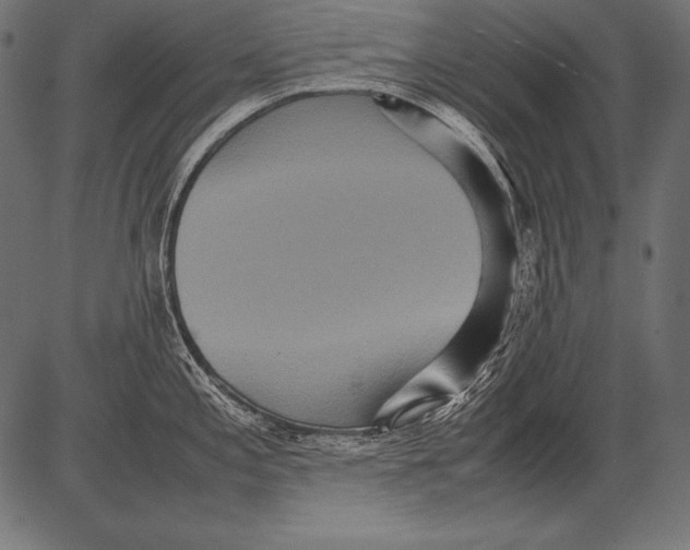 X0000081371197200702020157