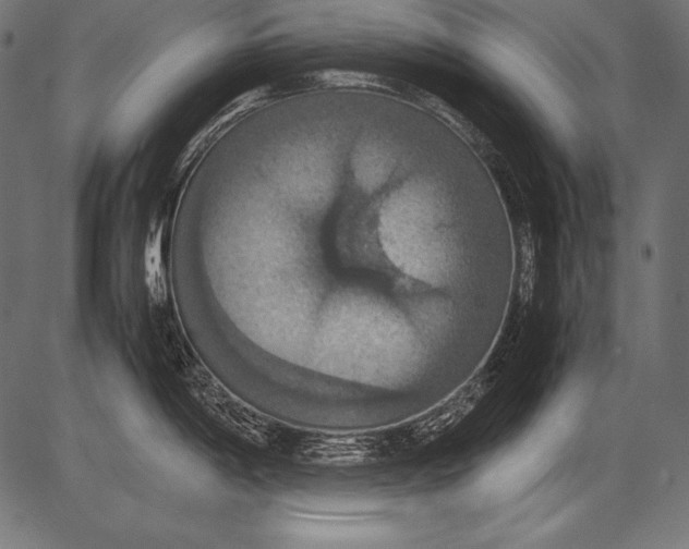 X0000081371198200702020157