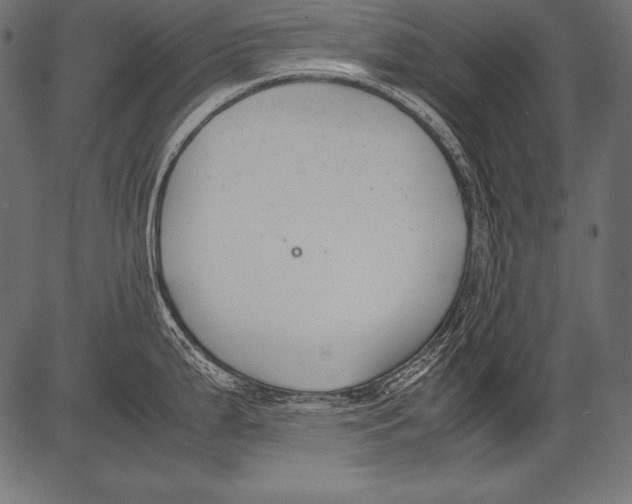 X0000081371199200702020157