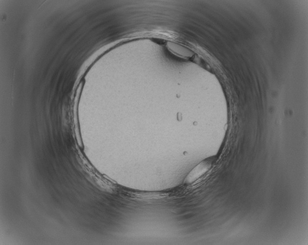 X0000081371200200702020157