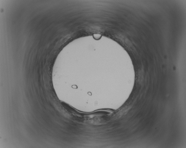 X0000081371201200702020156