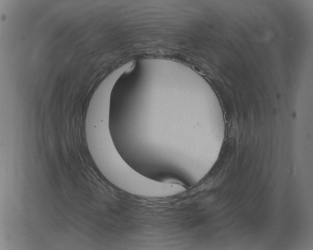 X0000081371202200702020156