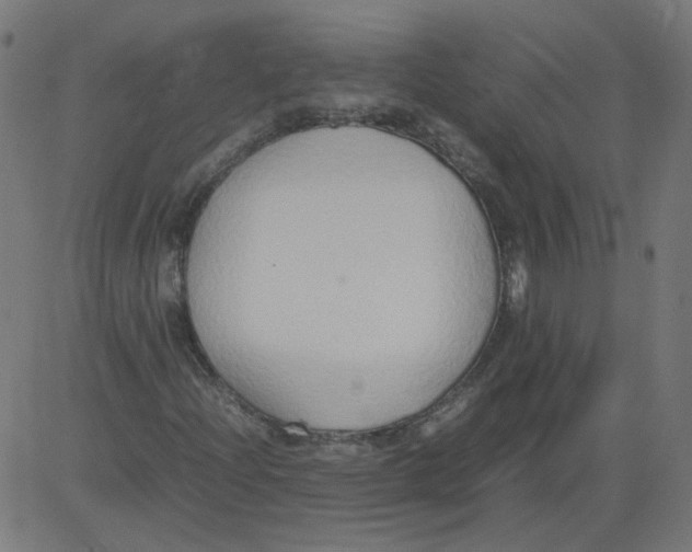 X0000081371204200702020156