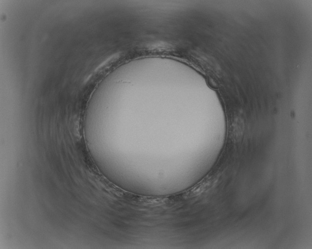 X0000081371205200702020156