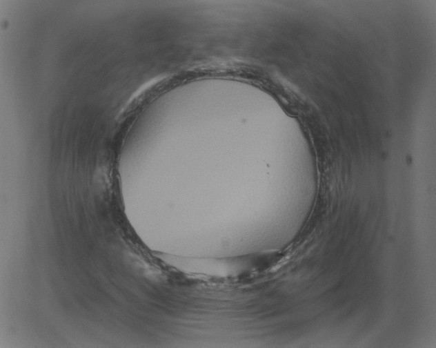 X0000081371206200702020156