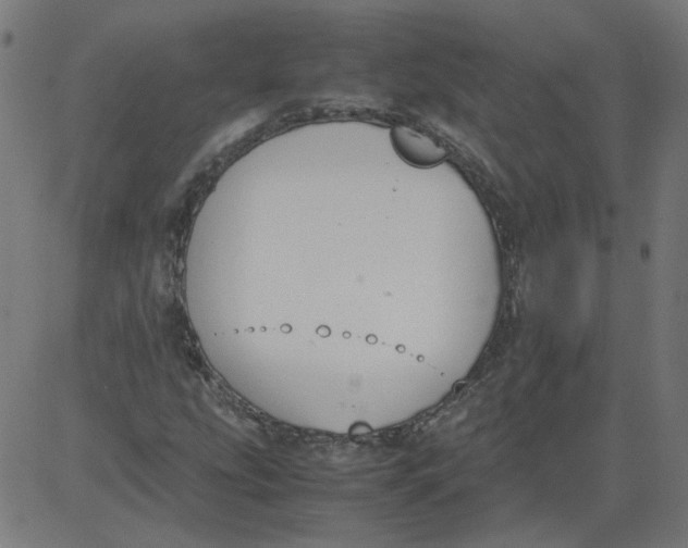 X0000081371207200702020156