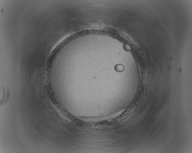 X0000081371208200702020156