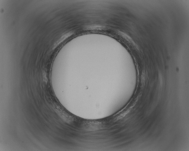 X0000081371209200702020156