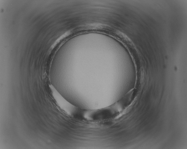 X0000081371210200702020157