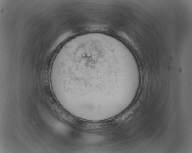 X0000081371211200702020157