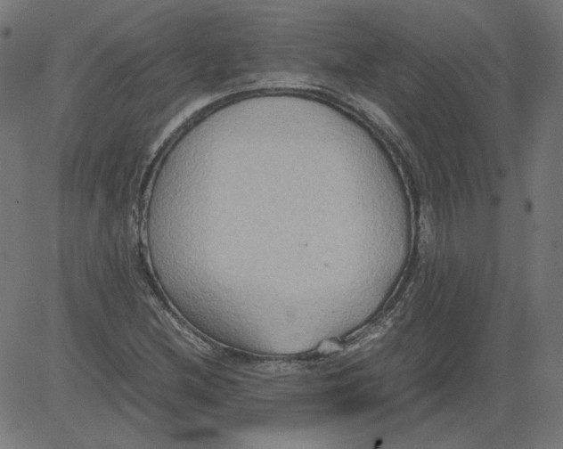 X0000081371212200702020157