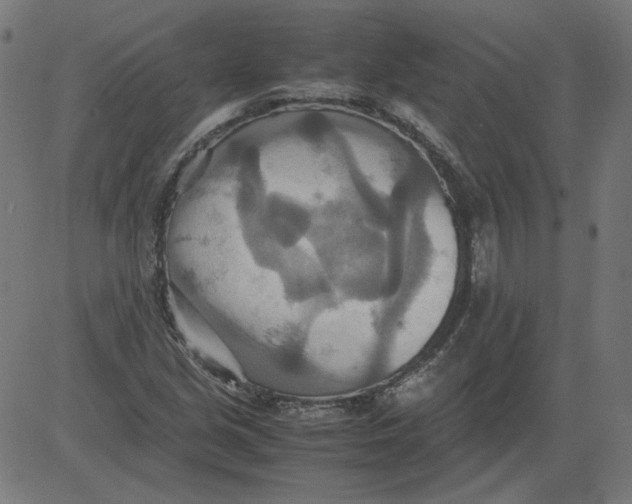 X0000081371213200702020157