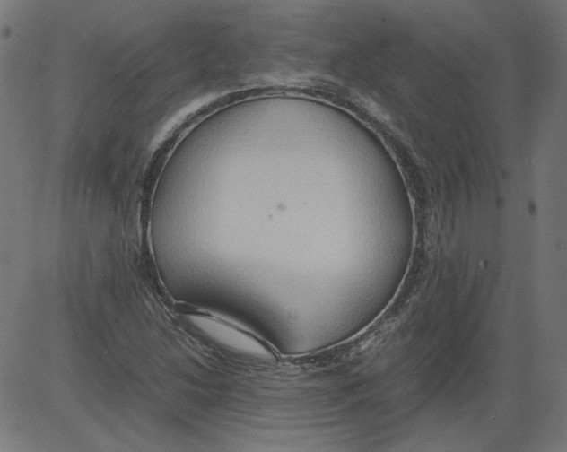 X0000081371214200702020157