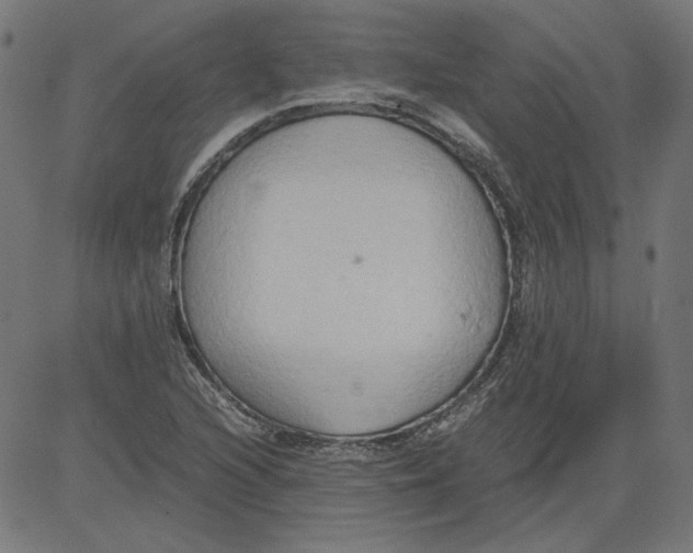 X0000081371216200702020157