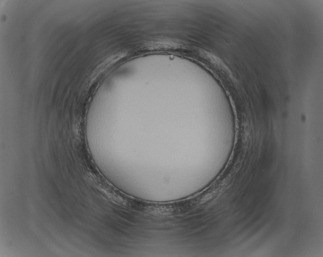 X0000081371217200702020157