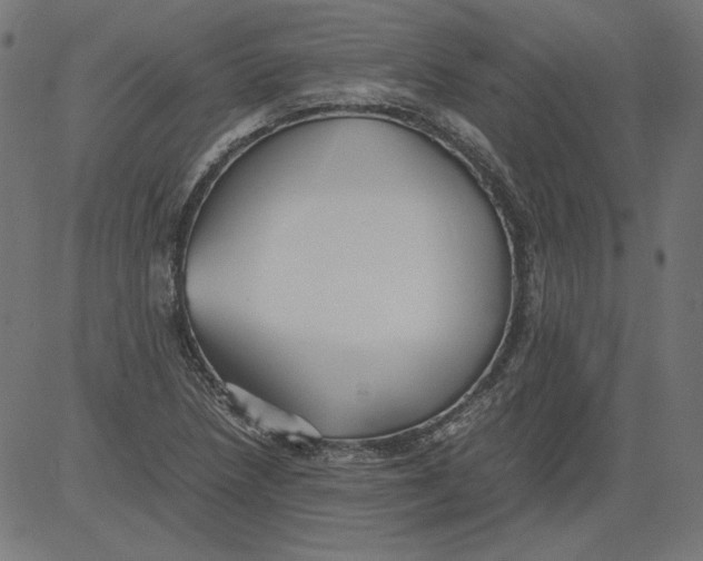 X0000081371218200702020157