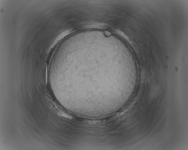 X0000081371219200702020157