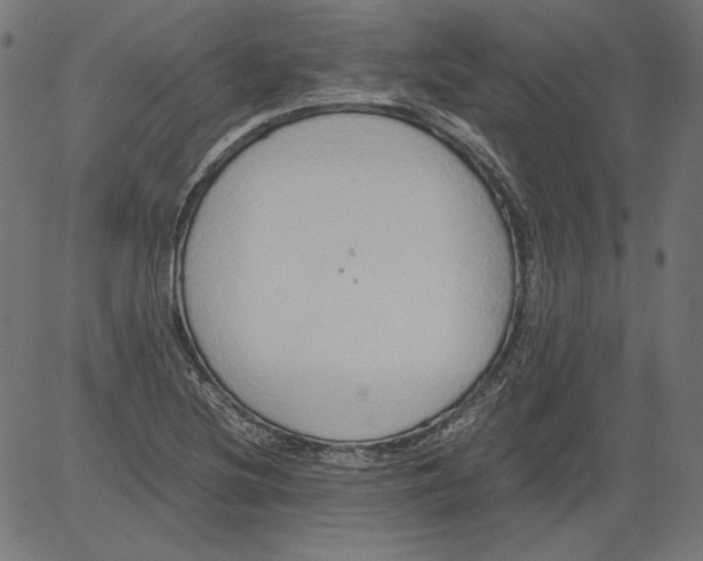 X0000081371220200702020157