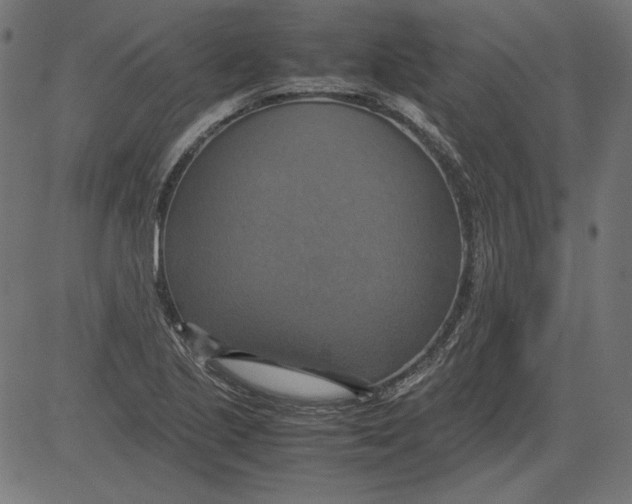 X0000081371221200702020157