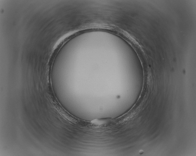 X0000081371222200702020157