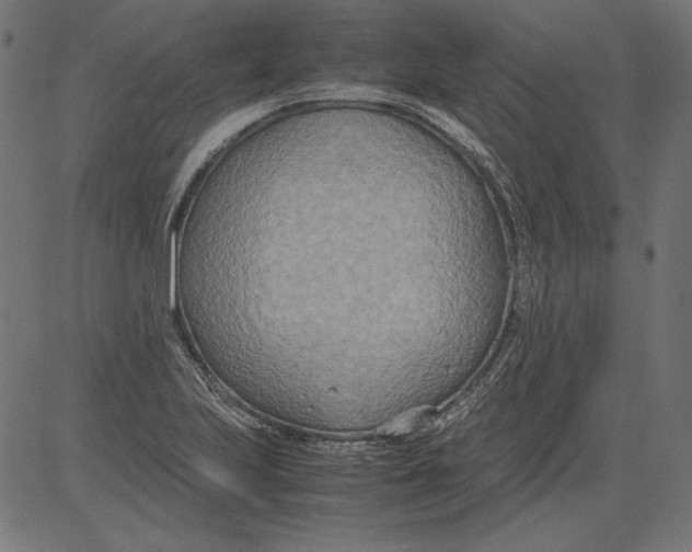 X0000081371223200702020157