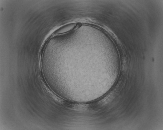 X0000081371224200702020157