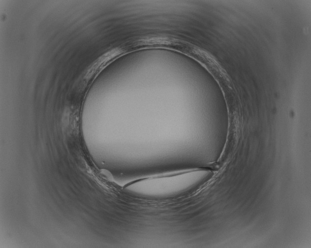 X0000081371225200702020157