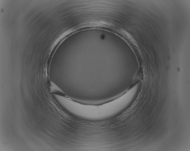 X0000081371226200702020157