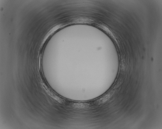 X0000081371227200702020157