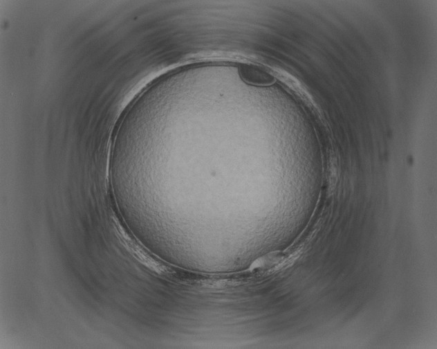 X0000081371228200702020157