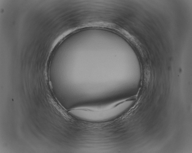 X0000081371230200702020157