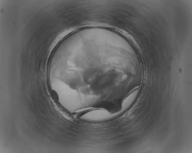 X0000081371231200702020157