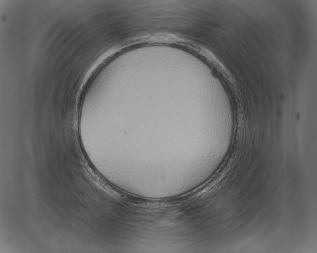 X0000081371232200702020157