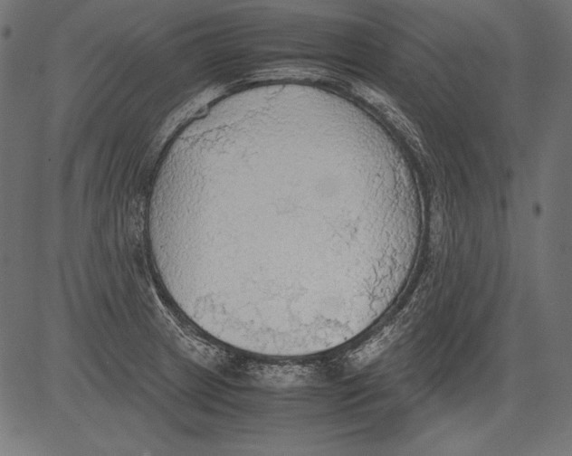 X0000081371233200702020157