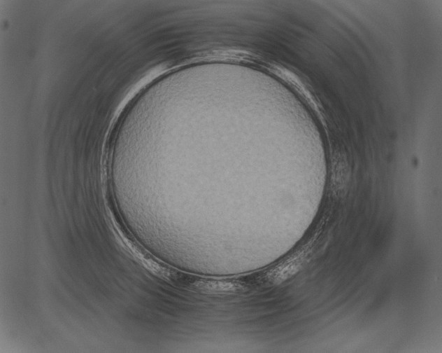 X0000081371235200702020157