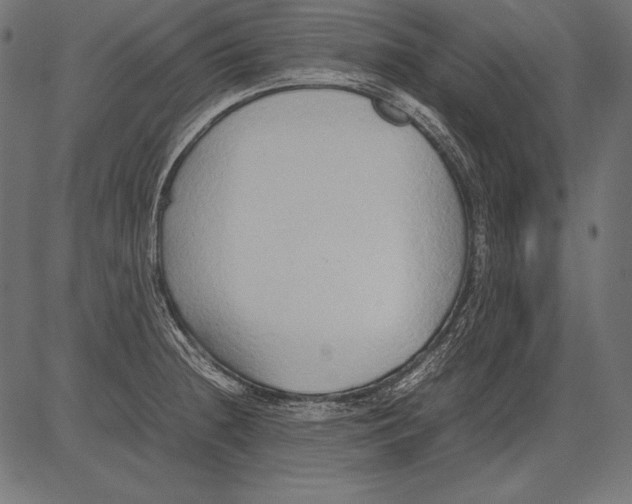 X0000081371236200702020157