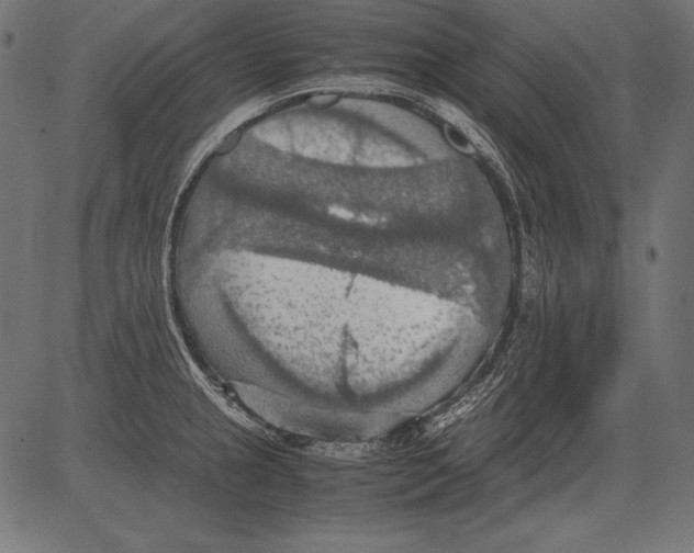 X0000081371237200702020157