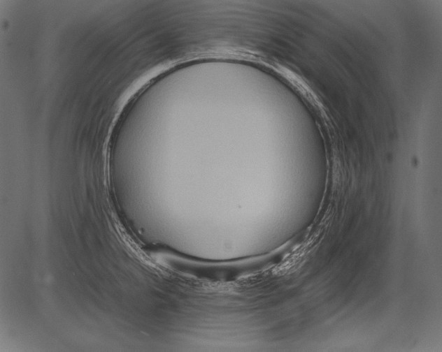 X0000081371238200702020157