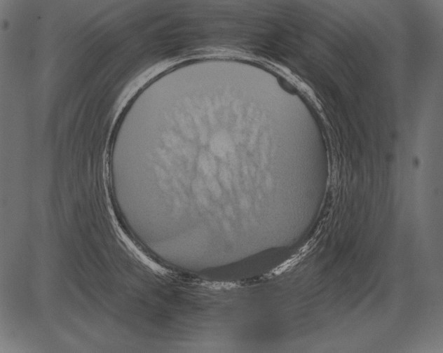 X0000081371239200702020157