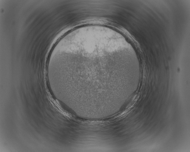 X0000081371240200702020157