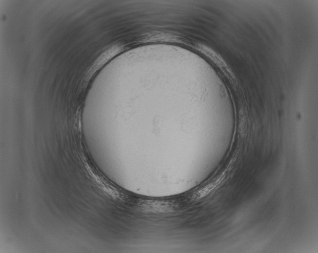 X0000081371241200702020157