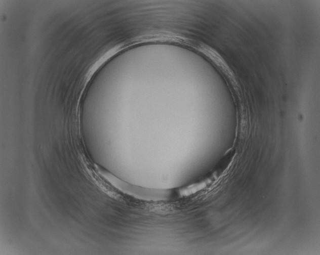 X0000081371242200702020157