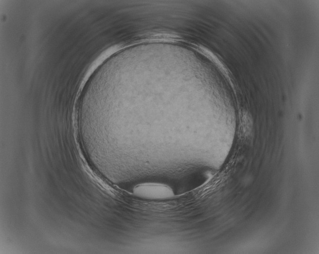 X0000081371243200702020157