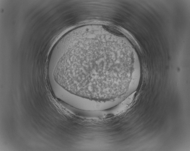 X0000081371244200702020157