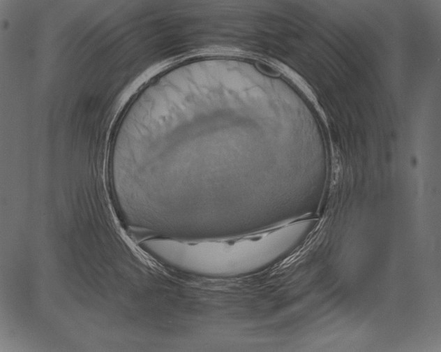 X0000081371245200702020157