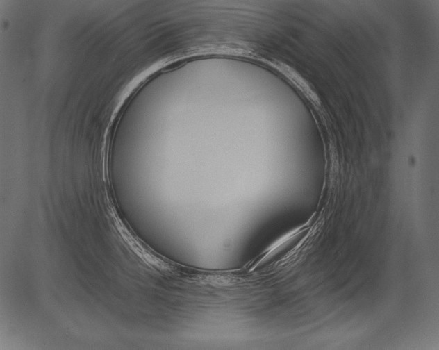 X0000081371246200702020157