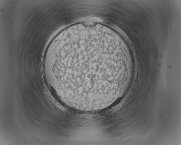 X0000081371248200702020157