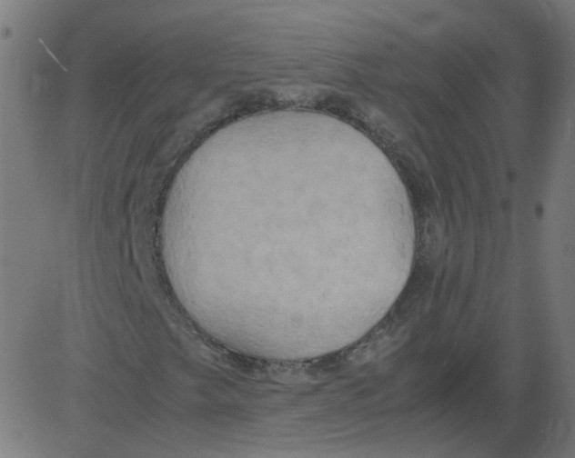 X0000081371249200702020156