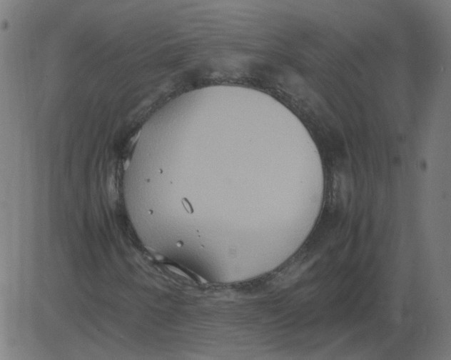 X0000081371250200702020156