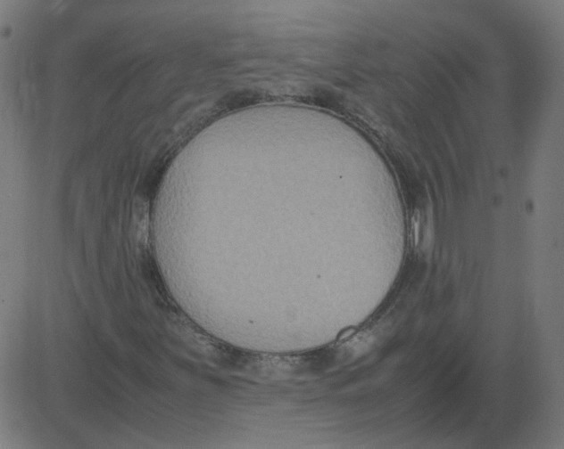 X0000081371251200702020156